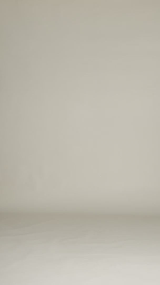 Eb&Ive Studio Linen Button Front Shirt  Top Collar Work Shirt Long Sleeve